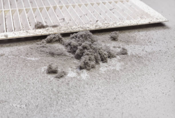 Best Ductwork Cleaning Services  in Shannon, MS