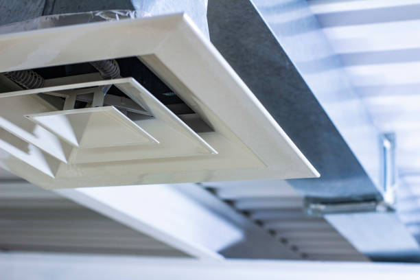 Best Professional Duct Cleaning Services  in Shannon, MS