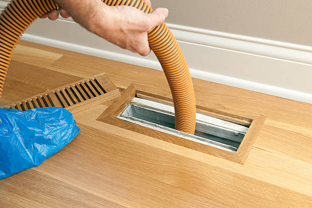 Best Commercial Air Duct Cleaning  in Shannon, MS