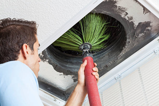 Best Air Duct Cleaning Near Me  in Shannon, MS