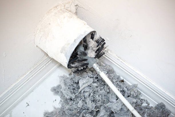 Best Ventilation Cleaning Services  in Shannon, MS