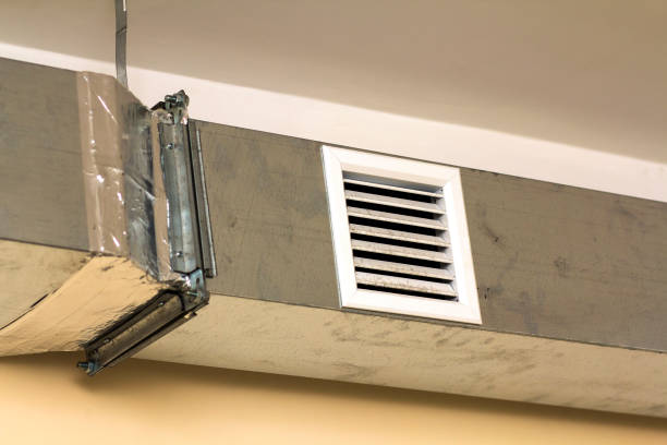 Best Affordable Duct Cleaning Services  in Shannon, MS